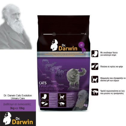dr.darwn cats evolution copy6
